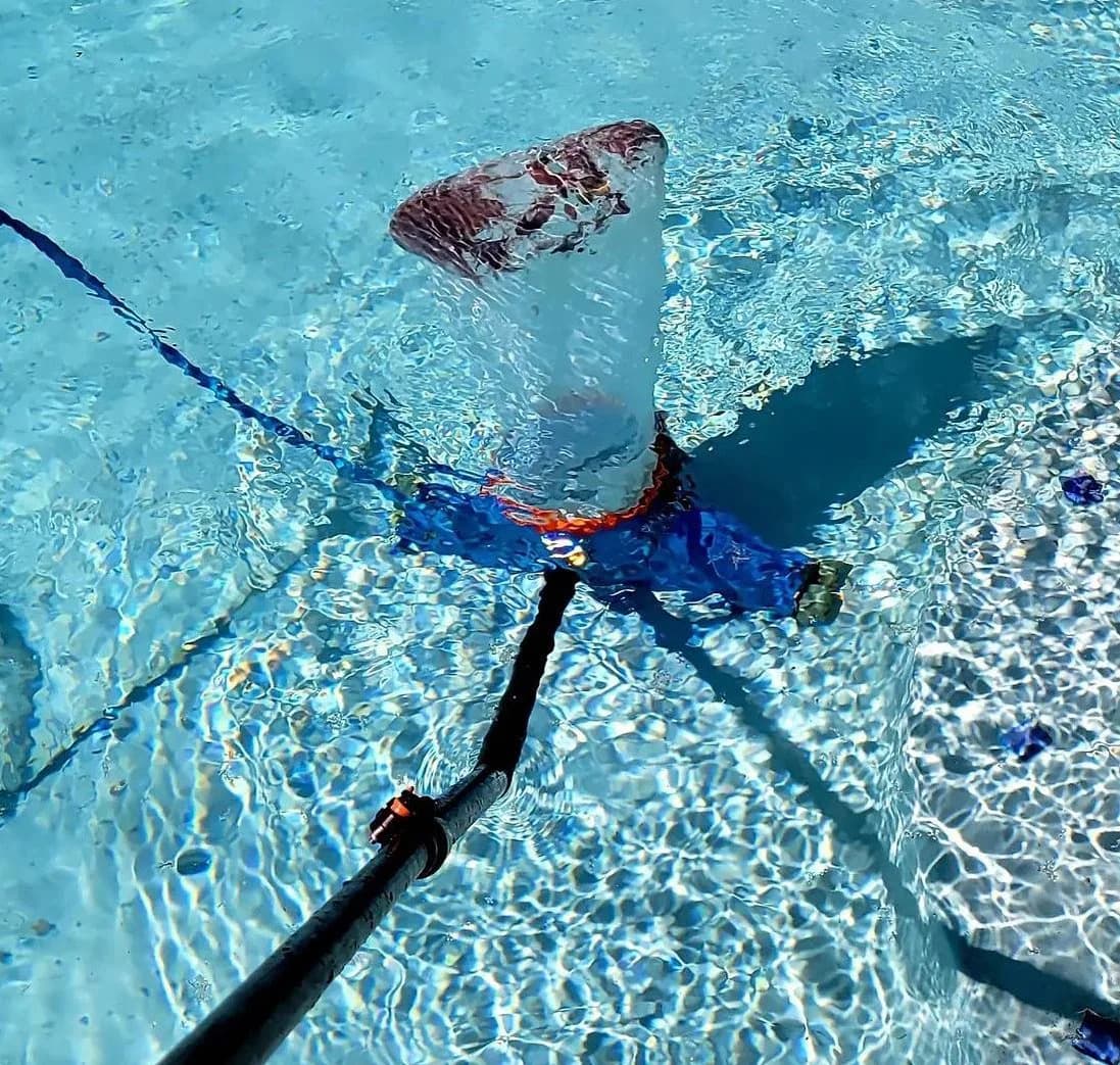 Pool maintenance service